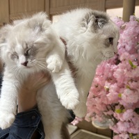 癒しをお裾分け