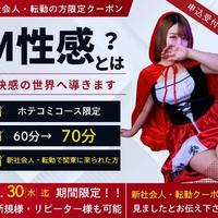 期間限定！