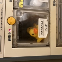 2/26*変態小説家ご来店