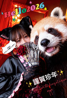 ✨Happy New Year✨