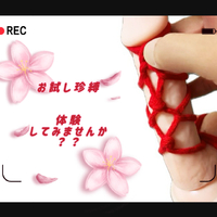 昨日は、少し暑かった