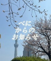 4月はじまりましたね🌸