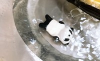 こんにちわ