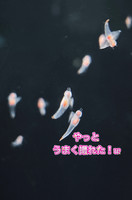 ☆出勤しましたぁあ☆☆