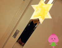 ありがとうございました。🙇‍♀️