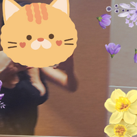 ありがとうございます。