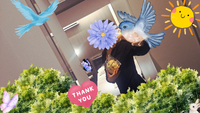 いつもありがとうございます。