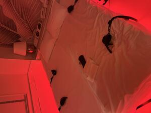 出勤しました！