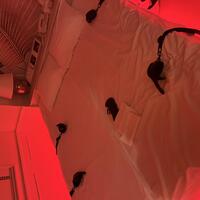 出勤しました！