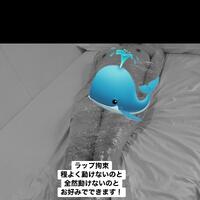 夏もラップ拘束だよね？？