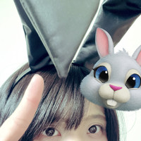 🐰🐰🐰
