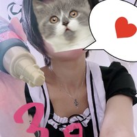 メイドに食われる世界線