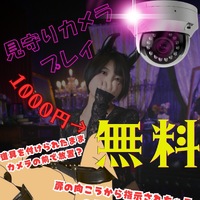 監視じゃないよ🤫