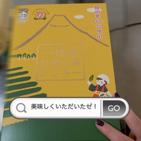 旅した気分🚃