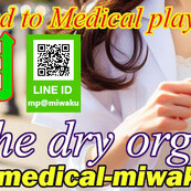 ☆ソフィー先生♪