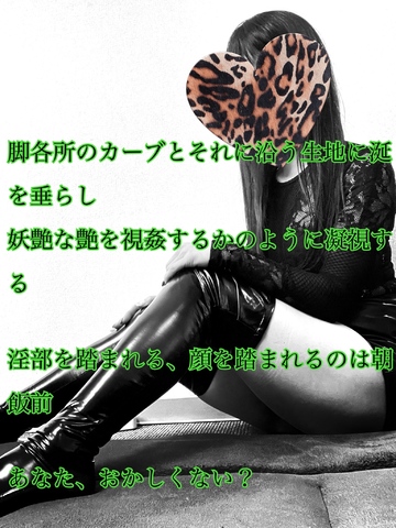 【📝】さらに堕ちたくなる性のようだった。