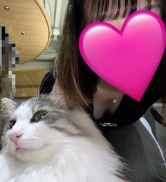 写真を遡っていたら猫カフェに行った時の写真みつけちゃいました