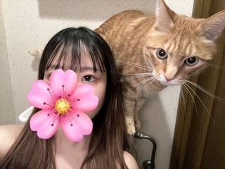 御手洗にいったら我が家のにゃんこが侵入してきました～！ฅ^•