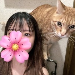 御手洗にいったら我が家のにゃんこが侵入してきました～！ฅ^•
