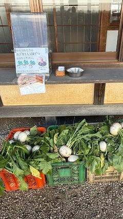 こんばんは。  お仕事毎日本当にお疲れ様です。  風邪など引