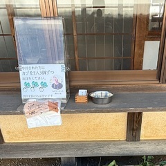 こんばんは。  お仕事毎日本当にお疲れ様です。  風邪など引