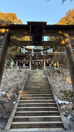 こんにちは。 (こんばんは) ののかです。