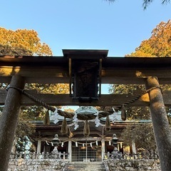 こんにちは。  （こんばんは）  　    ののかです。