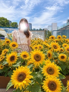 夏といえば!♡ 夏といえば、やっぱりひまわり✨ 今年もひ