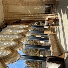 昨日は、SMの聖地アルファインとベイコートへ倶楽部行ってきま