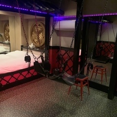 こんにちは、いつきです♪    先日、アルファインに呼んでい