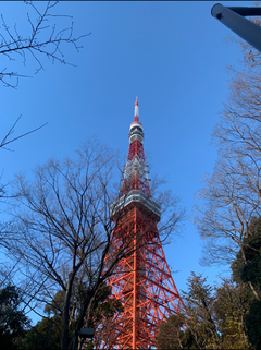 こんにちは、いつきです♪ 年明けは体調を崩していました