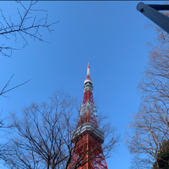 こんにちは、いつきです♪    年明けは体調を崩していました