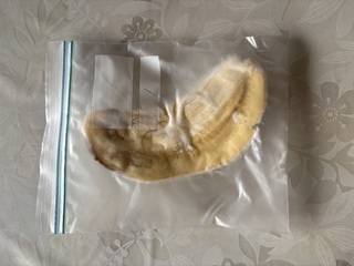 しぐれちゃんクッキング 用意するもの バナナ ジップロック