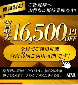 ようこそ、大人の遊園地へ!