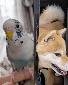 自慢の息子たち♡