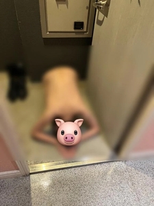 よく調教されたマゾ🐷