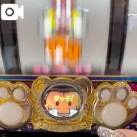 タッチ🐾🤍