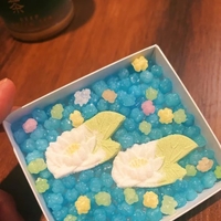 💋モ◎の乳首がいっぱい