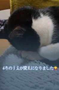 6月のお時間変更