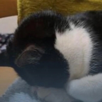 火曜お休み頂きます