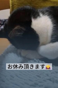 お休み頂きます🙇♀️