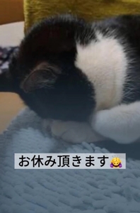 お休み頂きます🙇♀️