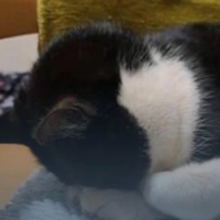 お休み頂きます🙇‍♀️