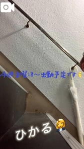 生脚OL🎥(今週のご予定を添えて)