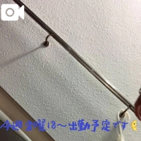 生脚OL🎥(今週のご予定を添えて)