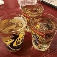 はよまた