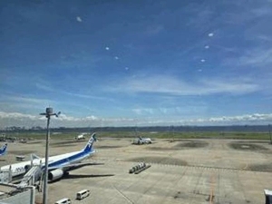かむばっく