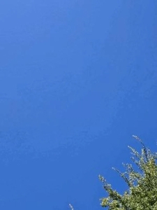 滝行