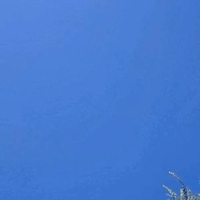 滝行