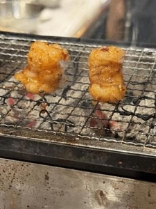 〇〇みたいな丸腸